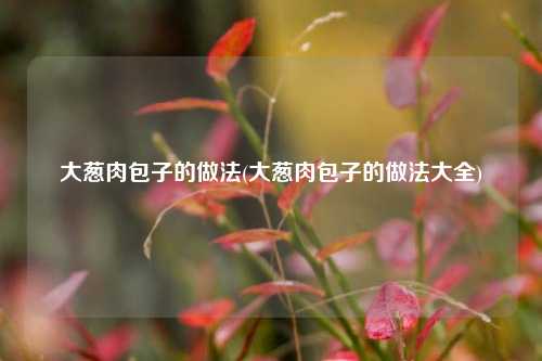 大葱肉包子的做法(大葱肉包子的做法大全)