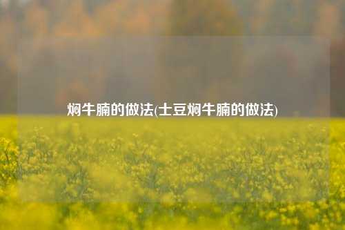 焖牛腩的做法(士豆焖牛腩的做法)