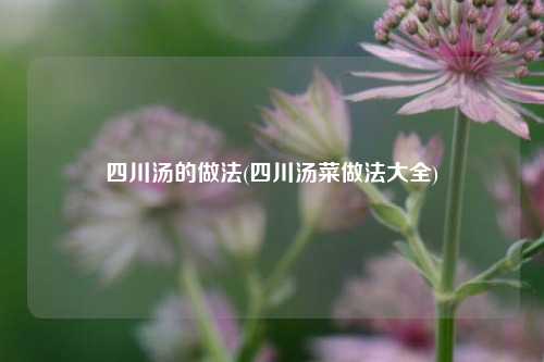 四川汤的做法(四川汤菜做法大全)