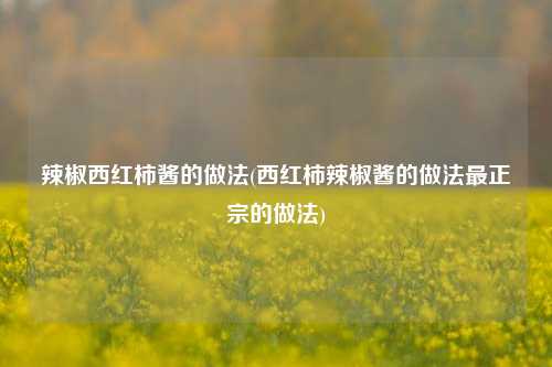 辣椒西红柿酱的做法(西红柿辣椒酱的做法最正宗的做法)