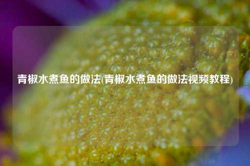 青椒水煮鱼的做法(青椒水煮鱼的做法视频教程)