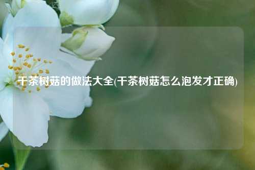 干茶树菇的做法大全(干茶树菇怎么泡发才正确)