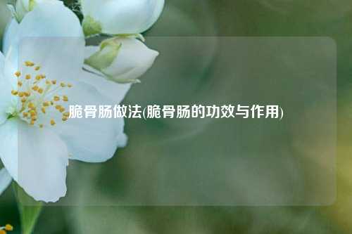 脆骨肠做法(脆骨肠的功效与作用)