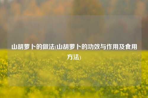 山胡萝卜的做法(山胡萝卜的功效与作用及食用方法)