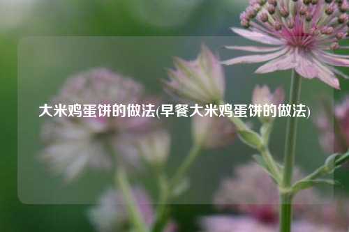 大米鸡蛋饼的做法(早餐大米鸡蛋饼的做法)