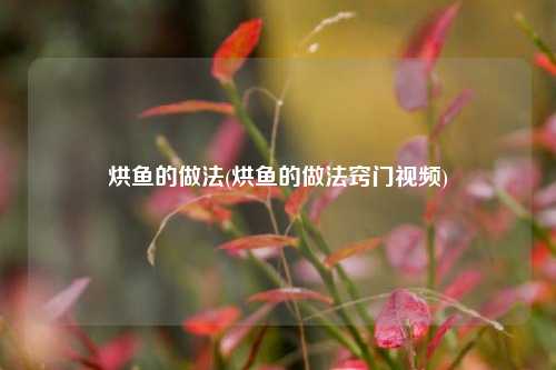 烘鱼的做法(烘鱼的做法窍门视频)