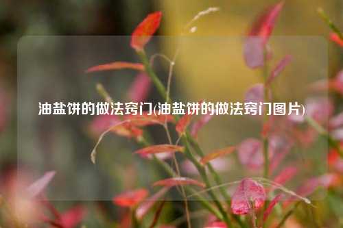 油盐饼的做法窍门(油盐饼的做法窍门图片)