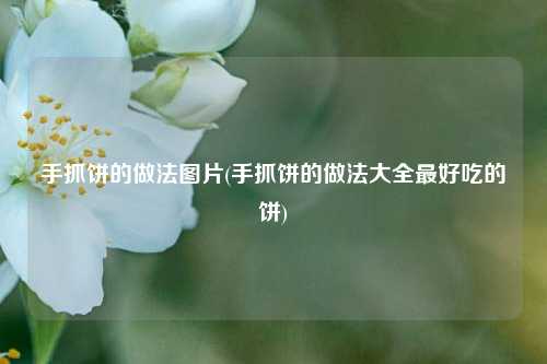 手抓饼的做法图片(手抓饼的做法大全最好吃的饼)