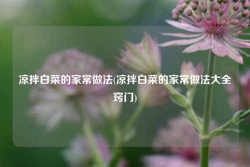 凉拌白菜的家常做法(凉拌白菜的家常做法大全窍门)