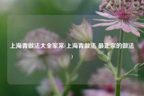 上海青做法大全家常(上海青做法 最正宗的做法)