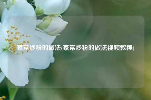 家常炒粉的做法(家常炒粉的做法视频教程)